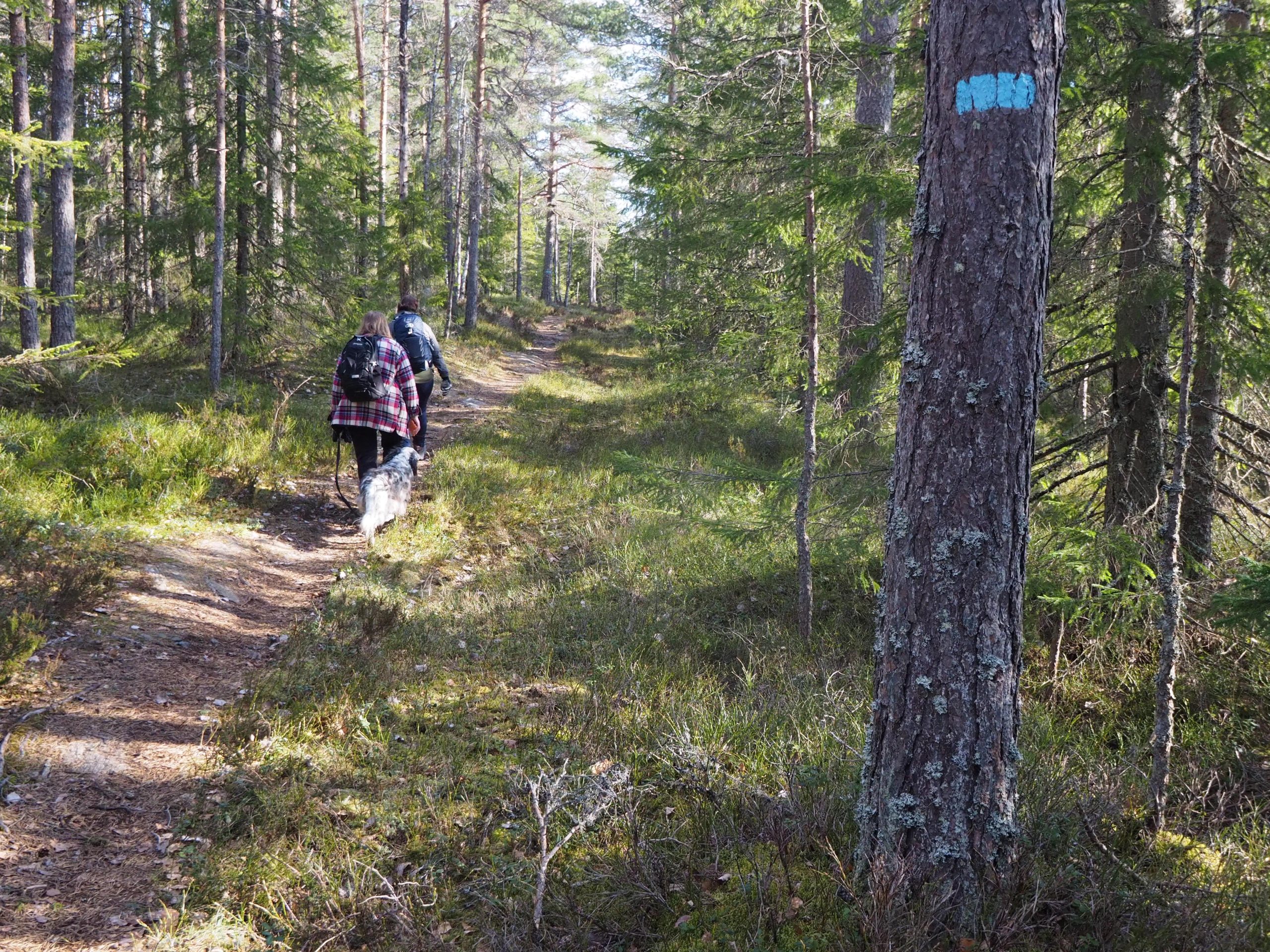 Dammyrveien skal blant annet gå over Svarvestolsbrenna.