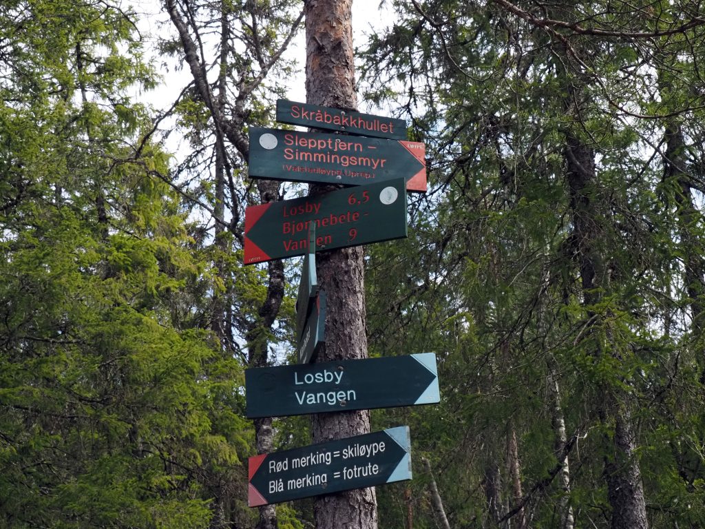 Dammyrveien er planlagt gjennom Skråbakkhølet og forbi det velkjente løype- og stidelet på østsiden. Her møtes forbindelseslinjene øst-vest mellom Skytten og Losbydalen og nord-sørgående ruter mellom Mariholtet og Vangen/Sandbakken, ved den karakteristiske dumpa og den historiske 17. mai-plassen. Foto: Bjarne Røsjø.